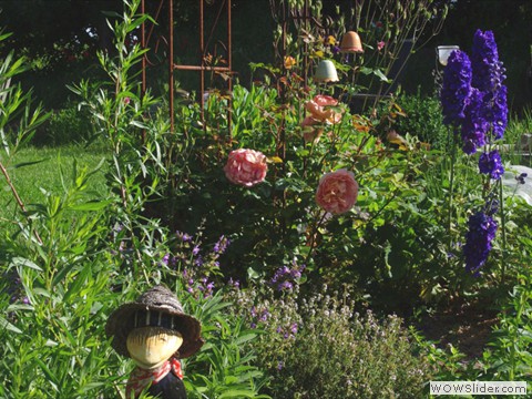 Rose mit Rittersporn